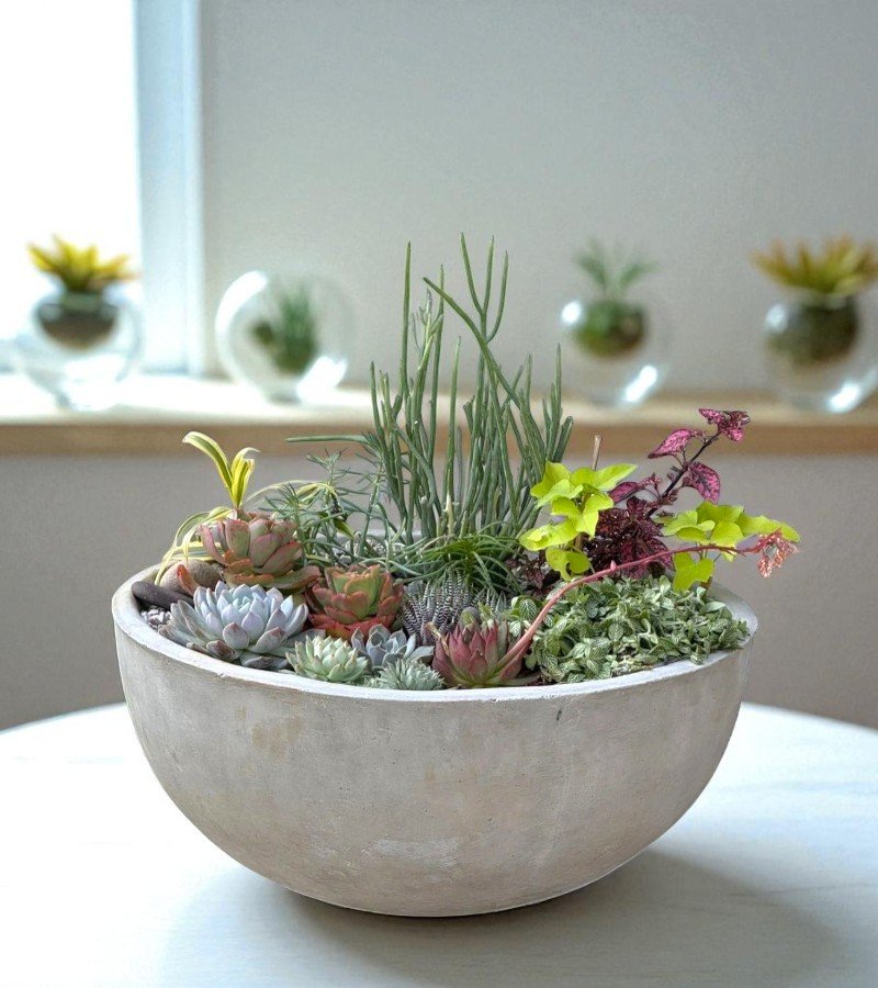 Modern Fiberglass Low Bowl Planter image 1
